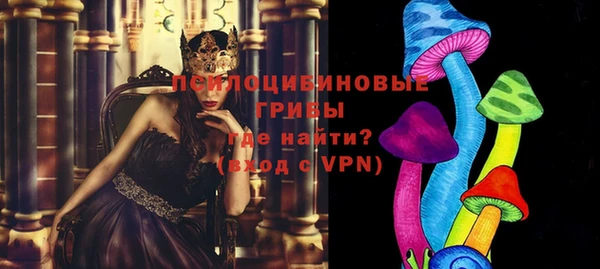бошки Алексин