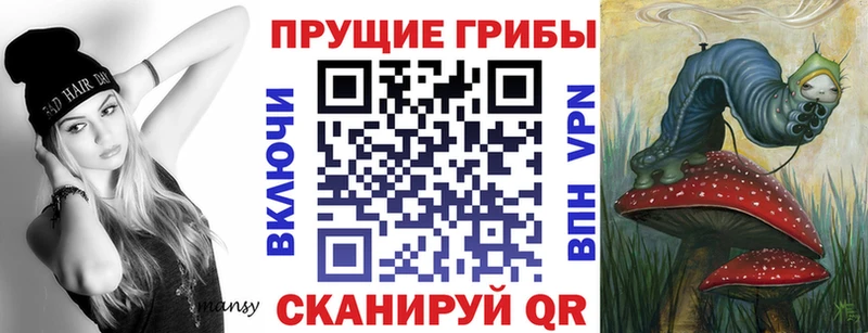 shop наркотические препараты  где купить   Нерчинск  Галлюциногенные грибы Cubensis 